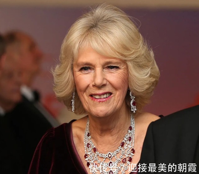 蛇形项链 卡米拉的蛇形项链20年前做情人时查尔斯送的,蛇蝎气质一目了然