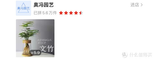 过年必备盆栽 | 20款好看易养的懒人绿植,拼多多店铺低至3元起!附养护心得