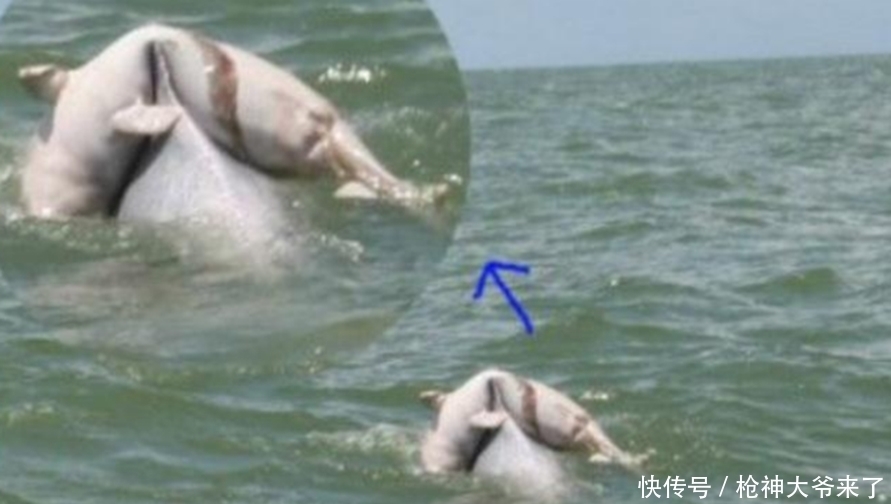 海上漂浮神奇麻袋，引来游玩游客注意，仔细一看全都沉默了