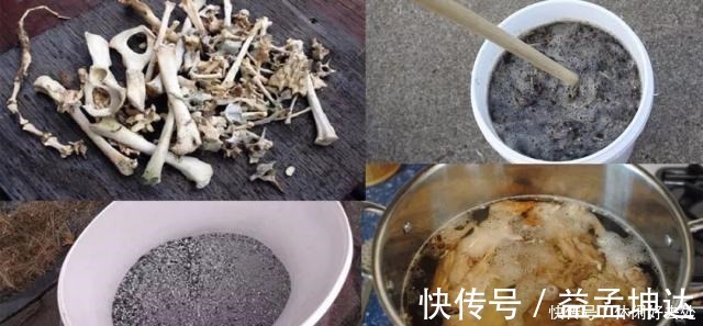 将骨头变成骨粉有几个简单技巧 用来养花有三大好处 粉紫色 将骨头变成骨粉有几个简单技巧 用来养花有三大好处 粉紫色