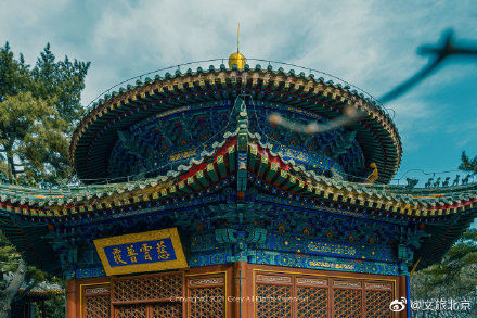 万物|在潭柘寺与古朴肃穆相遇