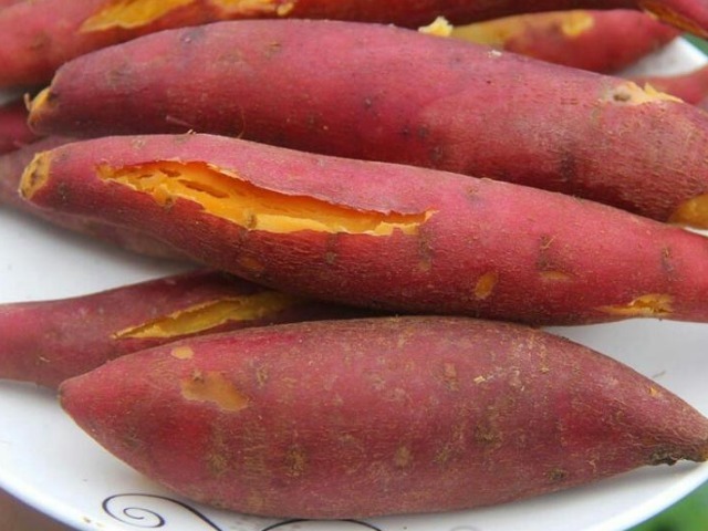 红薯|入秋之后常吃5种食物,让你健康又长寿,家长老人要了解