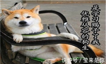 |幽默笑话:一个小姑娘家家的,学什么不好,学会撩人了!