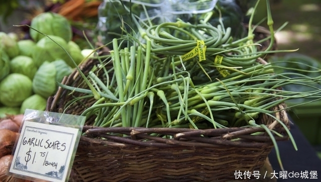 西葫芦|有8种蔬菜要少吃,为了身体健康,建议日常减少食用量