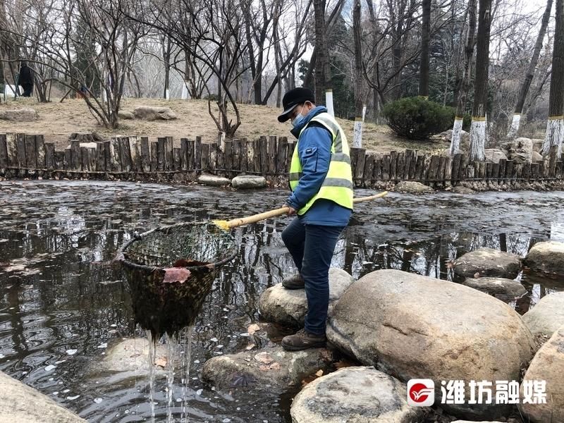 提颜值！公园水域垃圾大清理