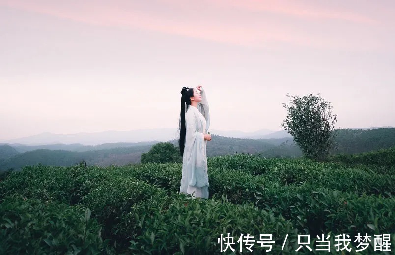 龙场悟道&修心(深度好文)