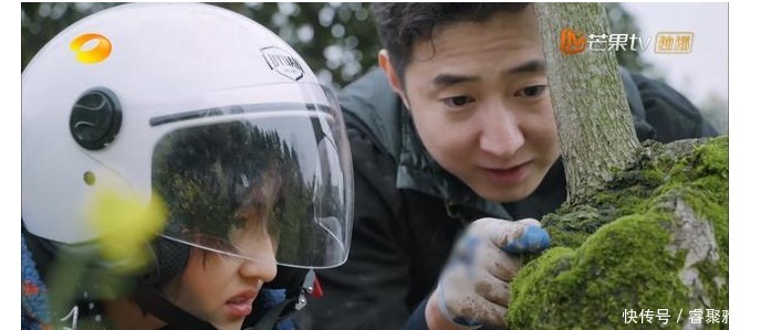 一季 太有梗,杨紫张艺兴贡献《向往》名场面,这一季的嘉宾真的找对了