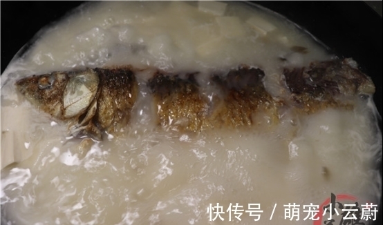 大姐将一大瓶雪碧倒进鱼桶中,不到1分钟,鲫鱼的反应真是绝了!