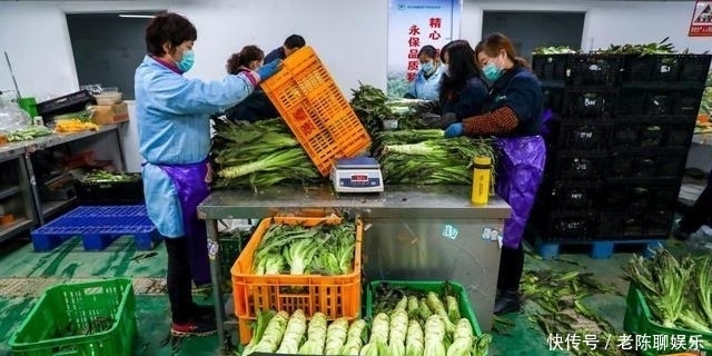 世界|中国动员能力到底有多强呢?世卫组织一句话让世界感叹不已