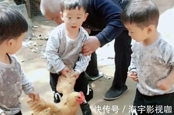 爷爷奶奶|妈妈回家发现三胞胎正合谋杀鸡,妈妈乐坏了,爷爷气坏了