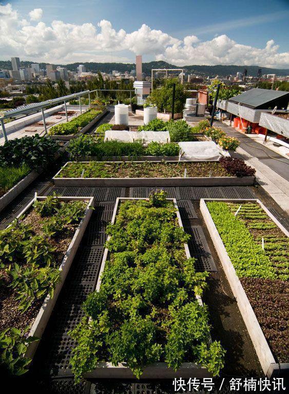 阳光房|我要是住顶楼有露台，才不会只种花，一半影院、泳池独享双份快乐