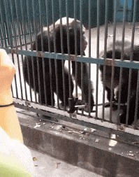 |搞笑GIF: 看着都觉得尴尬 下次就别在这种场合秀身材了