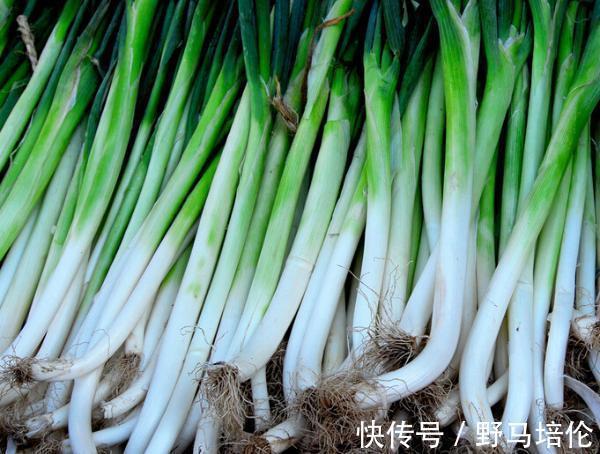 抗菌|老中医提醒大葱要少吃,最好别吃!赶紧告诉家里人!