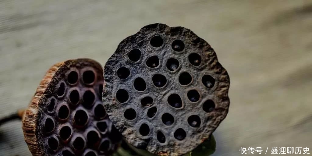 王阳明|王阳明的十句处世真言,学会一个,就能成就辉煌的人生