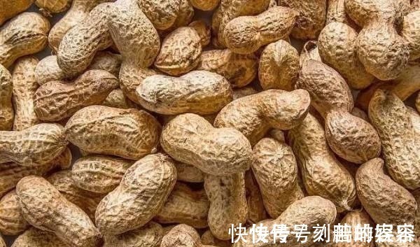 脑细胞|大脑最爱的食物,竟然不是核桃,完全没想到~