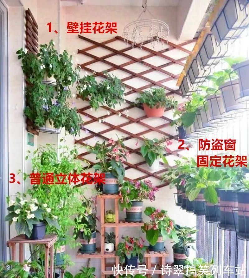 花花|阳台党的烦恼,没有院子,只能挖空心思养花