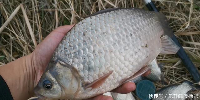 同样用蚯蚓钓鱼,别人钓得多,你钓得少,可能在挂法上就“输”了