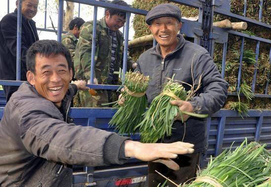 韭菜炒肉丝|吃完韭菜血压一夜爆升，高血压饿死也别吃，一碰就是火山爆发