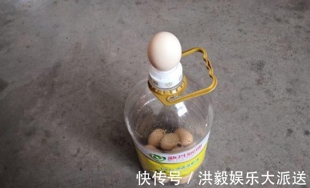 油桶里的鸡蛋是怎么放进去的呢我来为你解除疑惑，其实非常简单