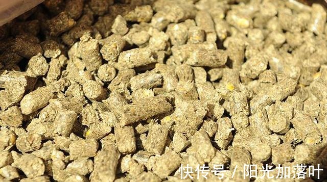 冬季钓鱼,别再“人找鱼”,下点猛料鱼儿乖乖“报道”!