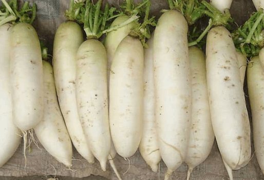 冬天没事吃点白萝卜, 身体会获得这些好处, 今天