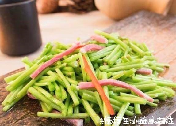 茼蒿|不识货的人,以为这种野草是茼蒿,其实名叫藜蒿,营养价值更高