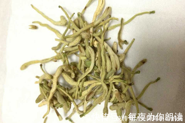 医生|医生提醒身体几处无端感觉到疼痛,或是肺在向你“诉苦”