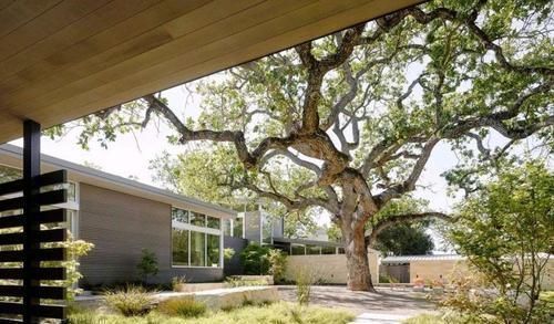 庭院|山中造个别墅,院中百年古树,庭院、壁炉、泳池,奢侈生活美如画