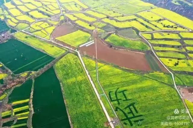 武功油菜万顷，何必跨山越岭！