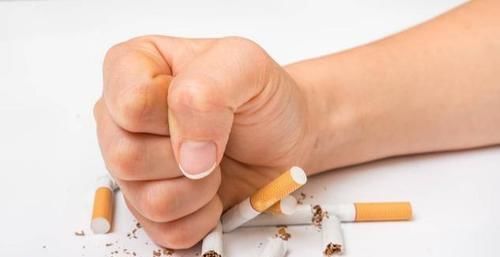 血脂异常|体检发现颈动脉斑块,很严重吗?不必害怕,医生教您3招来应对