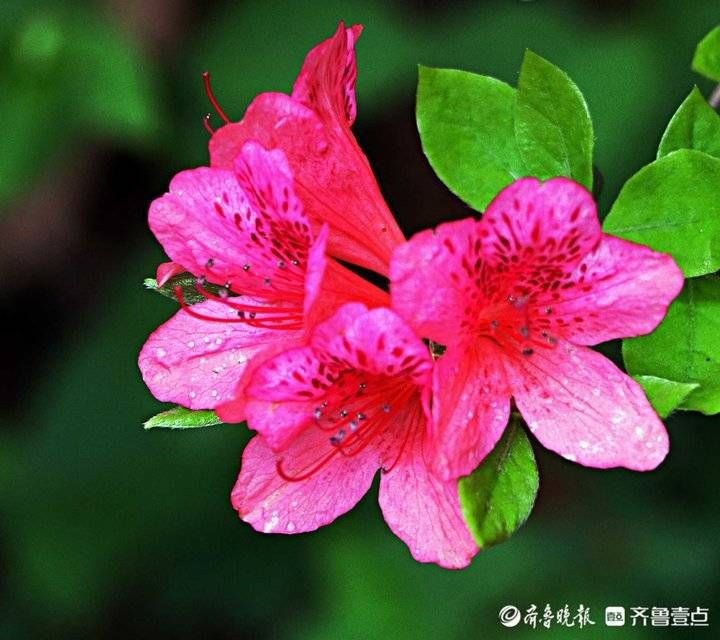 每日最佳情报｜今年第一次超级月亮来啦！恭喜壹粉喜提红包