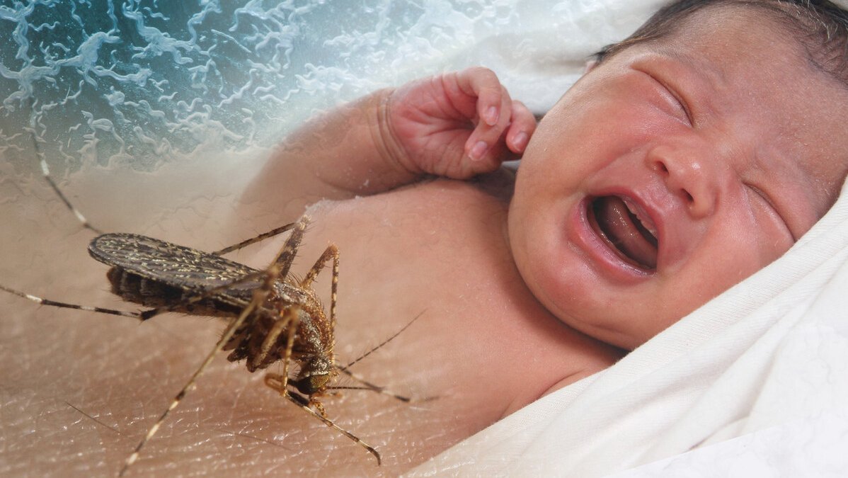 免疫系统|夏天被蚊子扰得不厌其烦?医生教你科学方法,轻松让蚊虫去咬别人