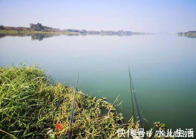 夏天|盘点几种夏天野钓的天然重窝，切记准备要大钩粗线