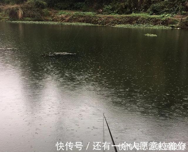 野钓|降温天野钓鲫鱼，小伙伴一天两次空军，却还笑别人太傻