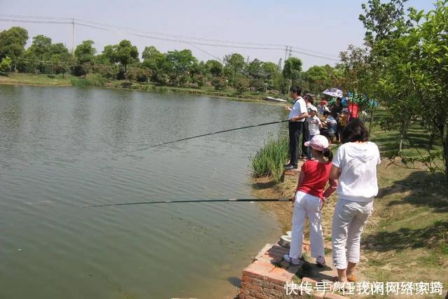鱼口|夏天在高温天气钓鱼,饵料味型怎样调配夏天钓鱼饵料的调味技巧