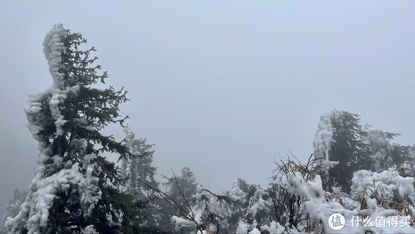 天净|梅岭印象3，天净湖最后一场冬雪，偶遇瀑布云