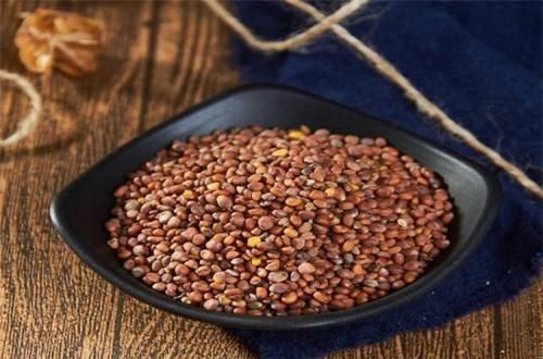 金元名医朱丹溪神通广大的方子!祛湿气,化痰浊,消积食,通宿便