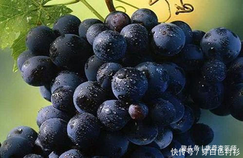 女人怕提前衰老,推荐吃的食物,滋补肝肾,排毒抗衰,促进睡眠