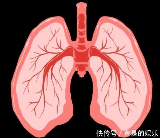  岁后|不论男女，50岁后，保持身体一软、二净、三通，离长寿更近一步