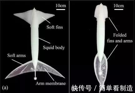 水母|北航“鱿鱼机器人”、德国“水母机器人”