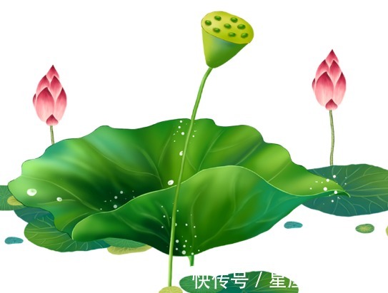 霉运|未来一周，吉星照耀，4属相霉运散好运来，生活一帆风顺