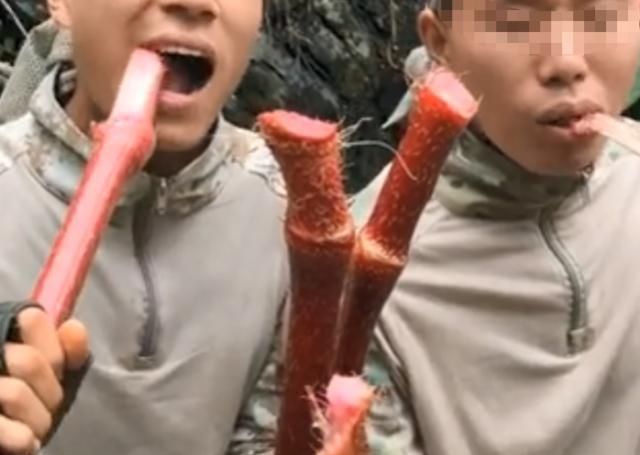 喜欢|这种水果味道比柠檬还要酸,但很多人喜欢吃,吃过的举手