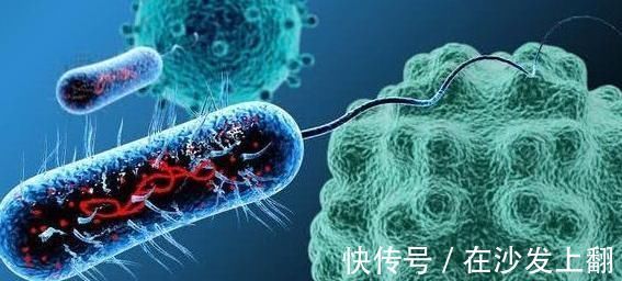 大夫|得了癌症仅仅靠提高免疫力能否治愈？看看大夫怎么说，来了解下