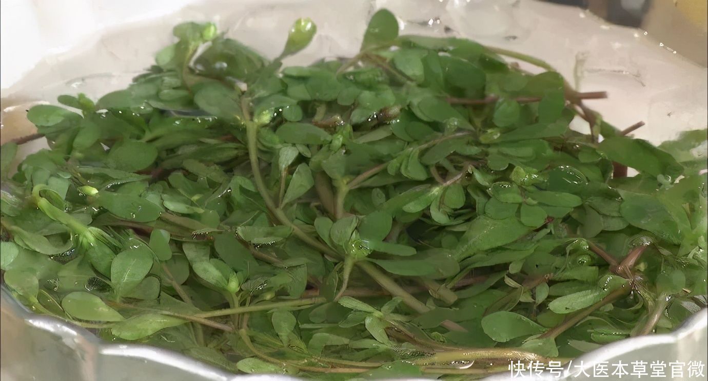 中国传统文化|7月不吃肉,也要吃这菜!被称为“天然抗生素”,常吃对身体好