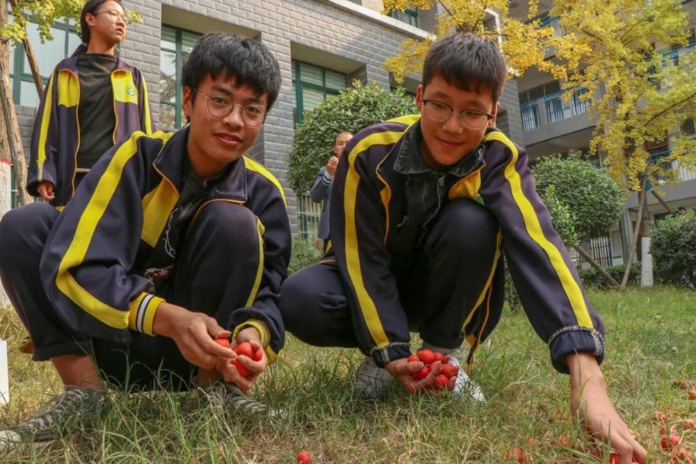 综合|开心收获 快乐成长——羲城中学举行校园采摘节综合实践活动