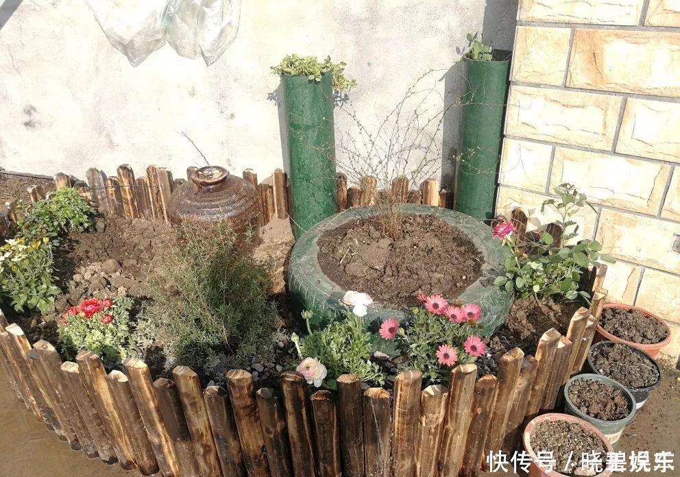 养花技巧 捡来的酒坛 破缸种多肉 1分钱不花 变出一个小花园 粉紫色 养花技巧 捡来的酒坛 破缸种多肉 1分钱不花 变出一个小花园 粉紫色