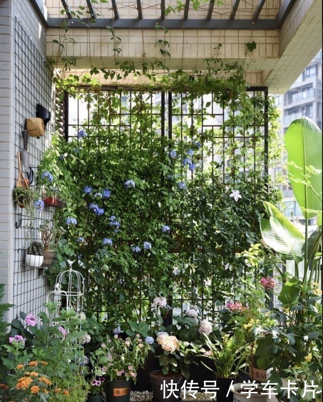 屋主|看完这些阳台设计后,才发现我家阳台只能叫晒台,白白浪费十几万!