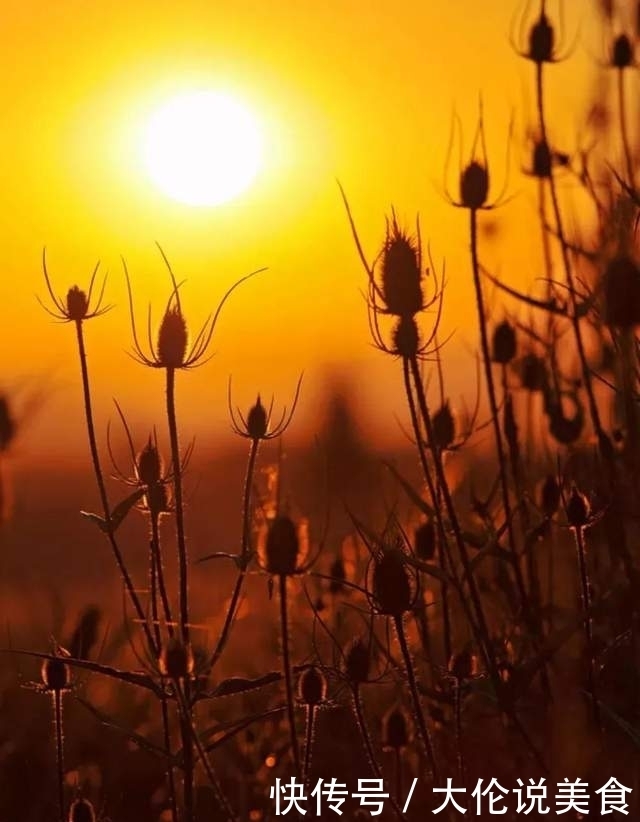 【诗词鉴赏】冬天来了,乡愁更浓了,10首思乡的诗词,让人怎能不思乡!