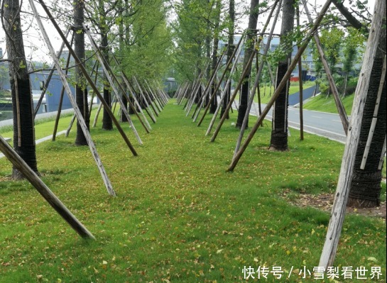 简素|价值20亿的简素酒厂