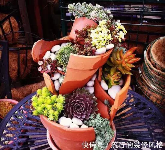 花盆还在买?一找一大堆,1毛钱不花,比买的花盆还要好